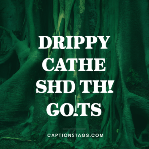 Drippy Captions For Instagram & Quotes